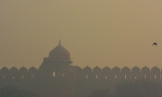 India02